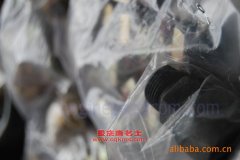實(shí)力JCC5100XTY體檢醫(yī)療車用的康明斯6BTA發(fā)動(dòng)機(jī)的配件及維修